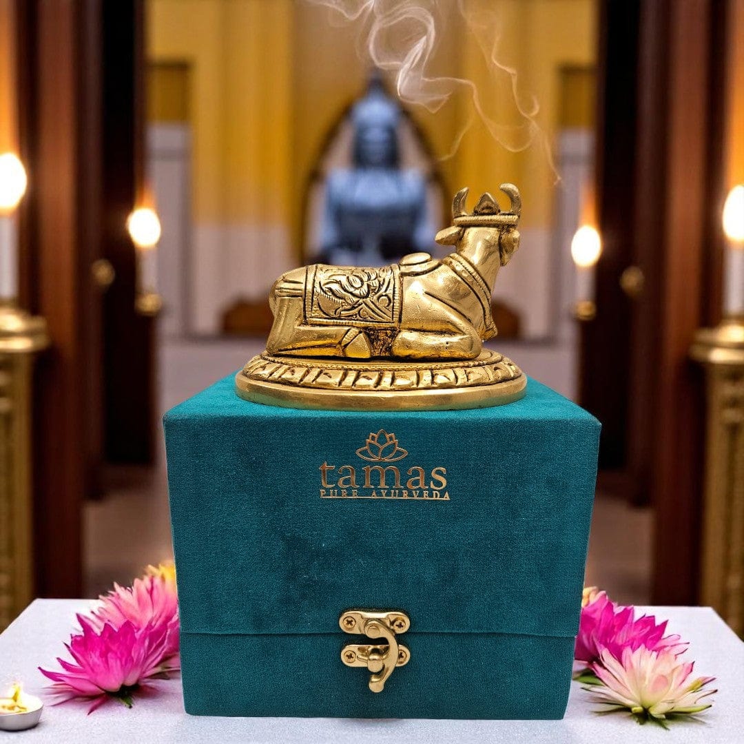 small brass Nandi statue for pooja room dƩcor and spiritual gifting